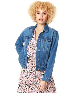 Roman Classic Cotton Denim Jacket - Blue