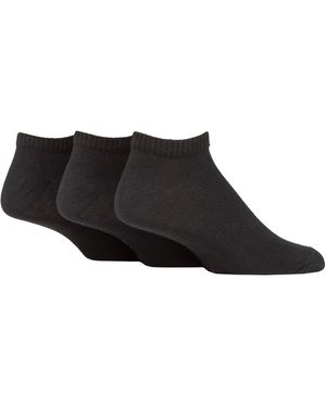 SOCKSHOP TORE 3 Pack Plain Sports Trainer Socks - Black