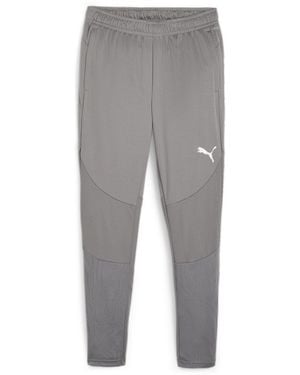 PUMA Teamfinal Performance Tracksuit Bottoms - Grey