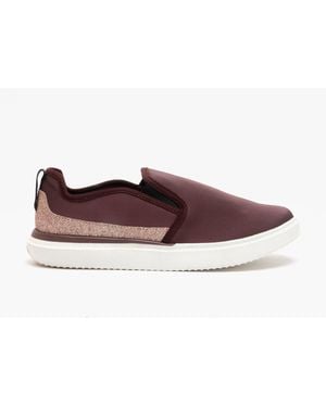 Rocket Dog Becki Slip On Trainers Oxblood - Brown