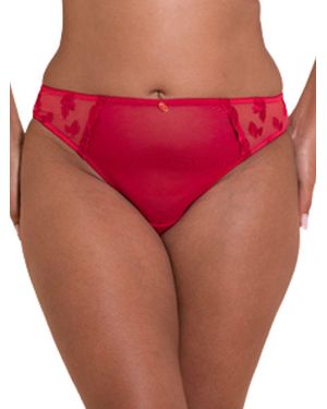 Curvy Kate Pucker Up Brazilian - Red