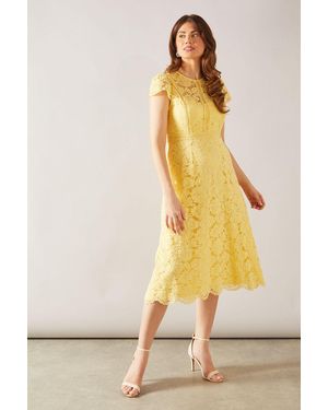 Wallis Lace Fit And Flare Midi Dress - Yellow