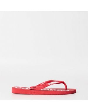 Havaianas Hav. Top Logomania 35 36 Flip Flops - Red
