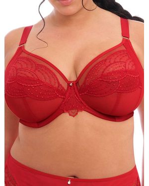 Elomi Priya Plunge Bra Haute Cotton - Red