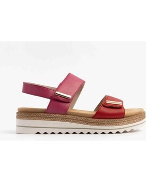Remonte D0Q59-31 Sandals Leather - Pink