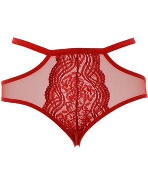 Kisses&Love Kanten Culotteslip Met Tailleband 21681 Vrouw - Rood
