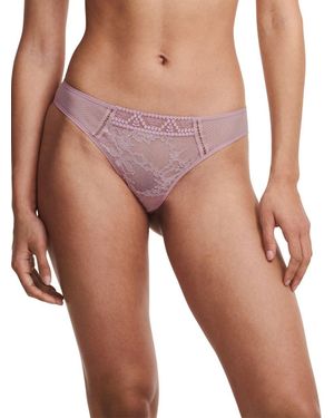 Passionata Olivia Tanga Nylon - Purple