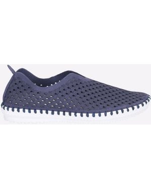 Divaz Onyx Shoes - Blue