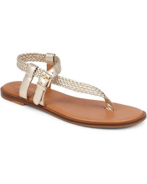 Jones Bootmaker Gabrielah Toe-Post Sandals - Brown