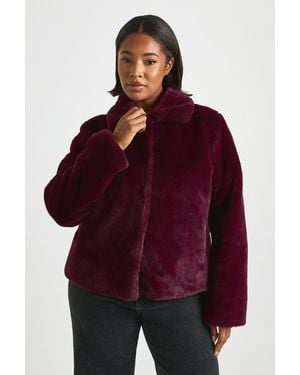 Boohoo Plus Collared Faux Fur Jacket