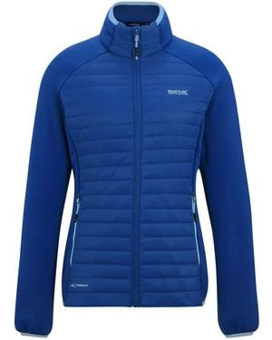 Regatta Ladies Clumber Hybrid Jacket (Aviator) - Blue
