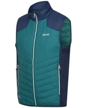Regatta Halton Body Warmer Gilet - Blue