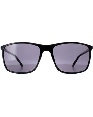 Calvin Klein Rectangle Shiny Ck22558S - Purple