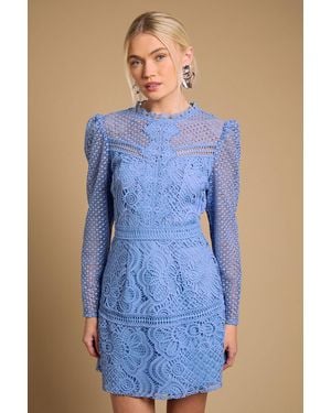 Oasis Contrast Lace Mini Dress - Blue