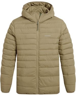 Craghoppers Compresslite Ix Hooded Padded Jacket (Cardamom) - Green