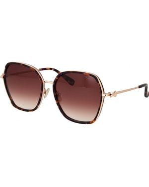 Ted Baker Tb1776 Kira 703 Gloss Tortoise Paars Gradiënt Zonnebril - Bruin