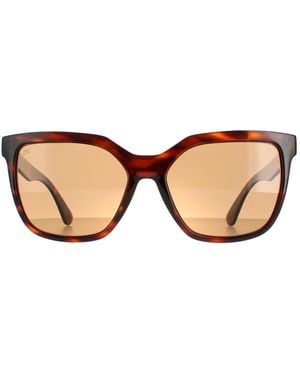 Serengeti Square Shiny Tortoise Saturn Polarized Drivers Wakota - Brown