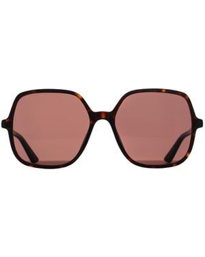 Chloé Chloé Square Dark Havana Ch0362S - Brown
