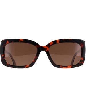 Barbour Square Tortoise Ba8121 - Brown
