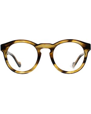 Moncler Round Coloured Havana Ml5037 - Brown