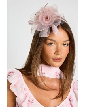 Boohoo Blush Flower Headband Hair Fascinator - Brown