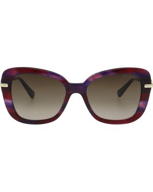 Ted Baker Gabriella Sunglasses - Brown