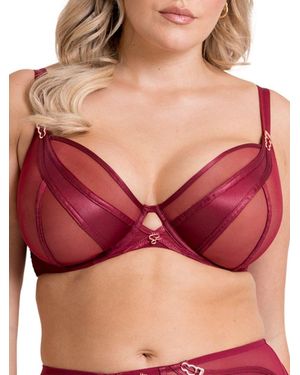 Curvy Kate Suspense Plunge Bra - Red