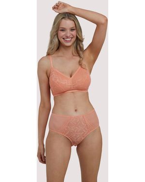 Deja Day Emma Coral High Waist Brief - Pink