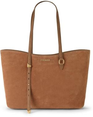 Steve Madden Leather Sparrow Bag - Brown