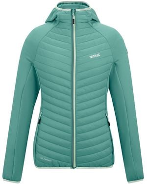 Regatta Ladies Anderson Hybrid Jacket (Ivy Moss) - Green