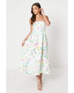 Oasis Petite Floral Bandeau Ottoman Midi Dress - White