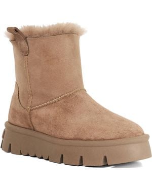 Dune Parissa Low Leather Boots - Brown