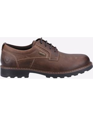 Cotswold Tadwick Watterproof Leather Shoes - Brown