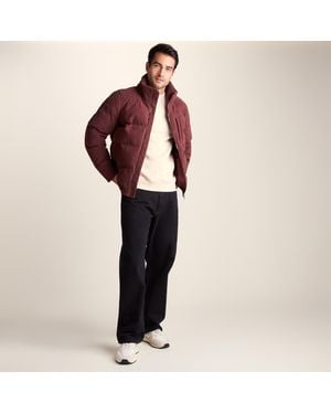 TOG24 Buckley Corduroy Padded Coat - Red