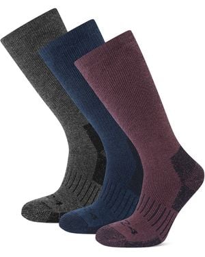 TOG24 Villach 3 Pack Trek Socks - Blue