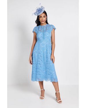 Wallis Petite Lace Fit And Flare Midi Dress - Blue
