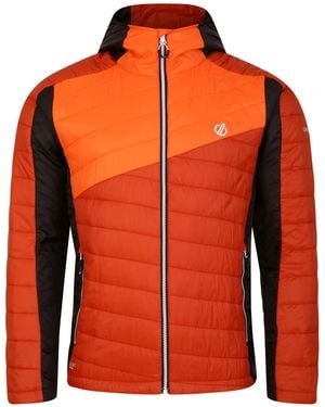 Dare 2b Touring Padded Jacket (Rooibos Tea/Puffins) - Orange
