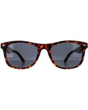 Smarty Rectangle Satin Dark Tortoise Sb2309 - Blue