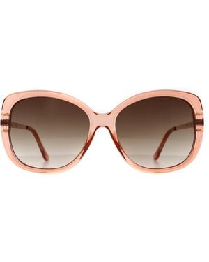 Calvin Klein Butterfly Dusty Gradient Ck22548S - Brown