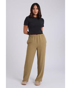 Urban Bliss Wide Leg Trousers - Green