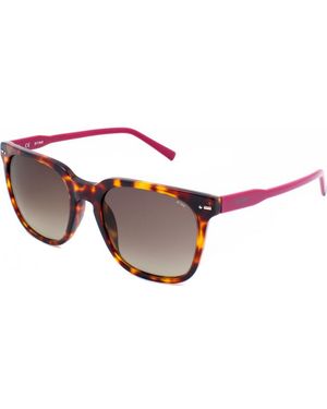 Sting Sst009539Aty 53 Sunglasses - Red