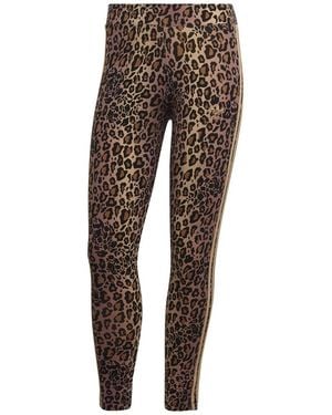 adidas Originals Performance Gym Legging - Brown