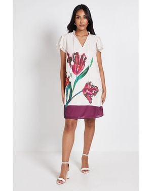 Wallis Petite Floral Stripe Ruffle Neck Shift Dress - Red