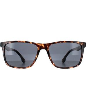 Smarty Rectangle Demi Tortoise Sb2308 - Grey