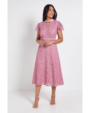 Wallis Petite Lace Tie Neck Midi Dress - Pink