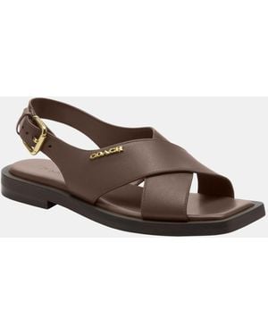 COACH Link Criss Cross Leather Sandal - Brown
