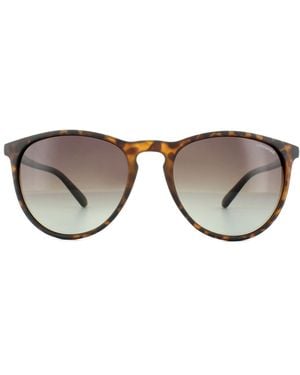 Polaroid Cat Eye Havana Gradient Polarized Sunglasses - Brown