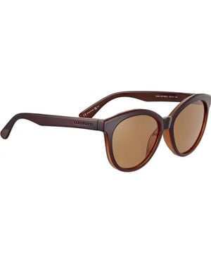 Serengeti Ss573002-S 56 Endee Sunglasses - Brown