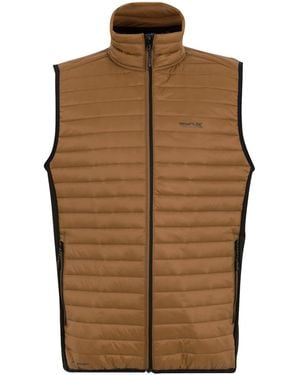 Regatta Andreson Hybrid Padded Jacket (Nut/ - Brown
