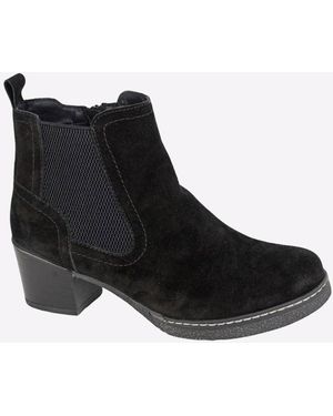 Cipriata Alessina - Black